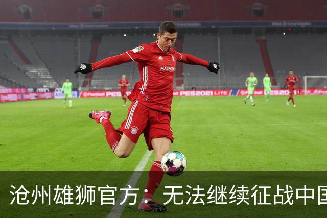 沧州雄狮官方：无法继续征战中国足球职业联赛
